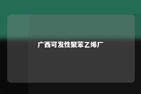 广西可发性聚苯乙烯厂