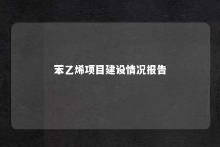 苯乙烯项目建设情况报告