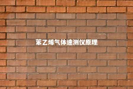苯乙烯气体速测仪原理