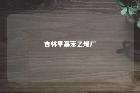 吉林甲基苯乙烯厂