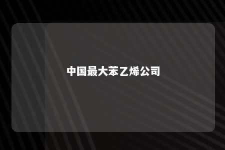 中国最大苯乙烯公司