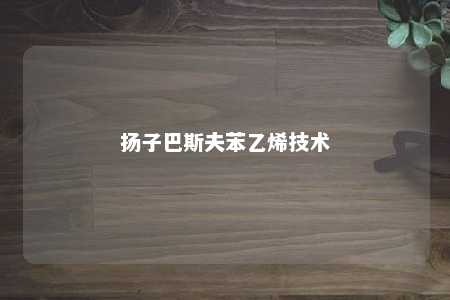扬子巴斯夫苯乙烯技术
