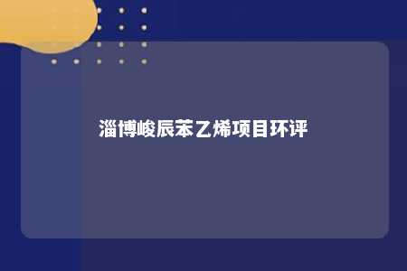 淄博峻辰苯乙烯项目环评