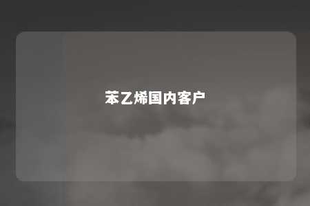 苯乙烯国内客户