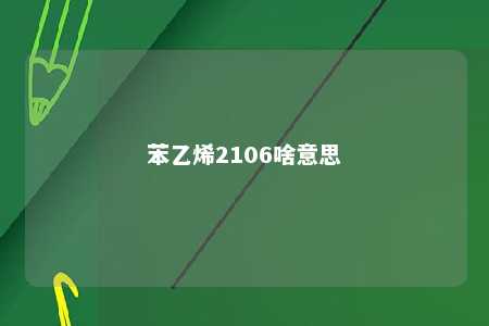 苯乙烯2106啥意思
