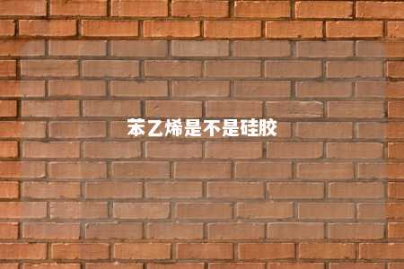 苯乙烯是不是硅胶