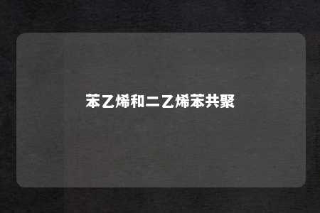 苯乙烯和二乙烯苯共聚