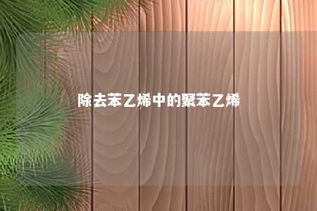 除去苯乙烯中的聚苯乙烯