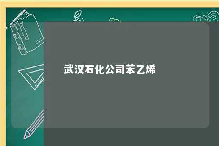 武汉石化公司苯乙烯