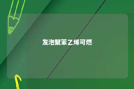 发泡聚苯乙烯可燃