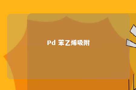 Pd 苯乙烯吸附