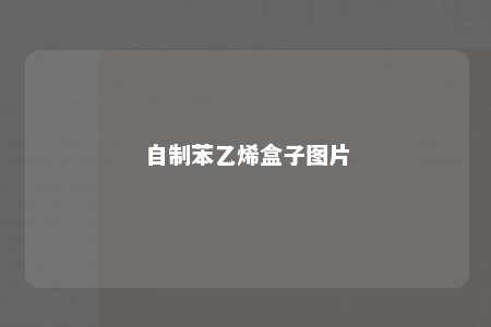自制苯乙烯盒子图片