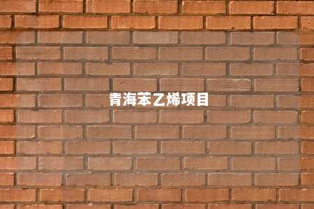 青海苯乙烯项目