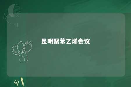 昆明聚苯乙烯会议