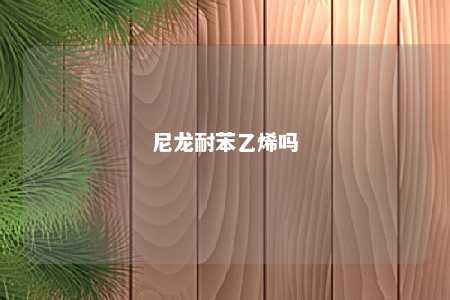 尼龙耐苯乙烯吗