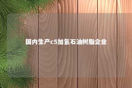 国内生产c5加氢石油树脂企业