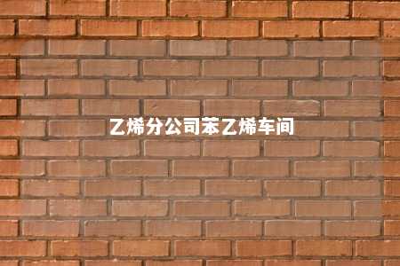 乙烯分公司苯乙烯车间