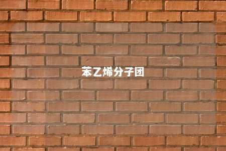 苯乙烯分子团