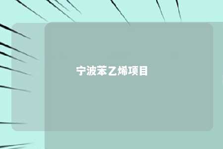 宁波苯乙烯项目