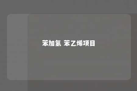 苯加氢 苯乙烯项目