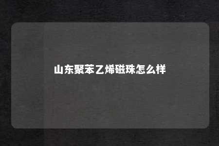 山东聚苯乙烯磁珠怎么样