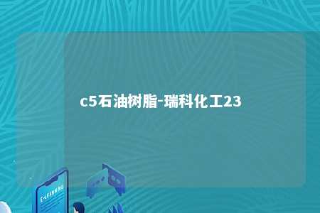 c5石油树脂-瑞科化工23