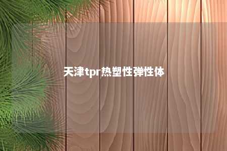 天津tpr热塑性弹性体
