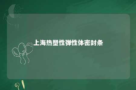 上海热塑性弹性体密封条