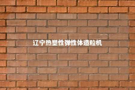 辽宁热塑性弹性体造粒机