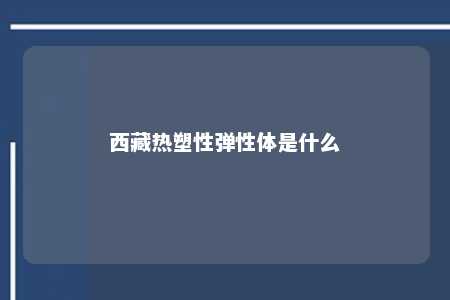 西藏热塑性弹性体是什么