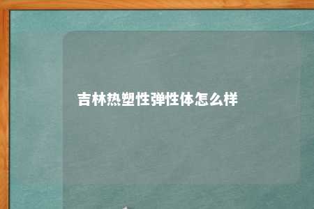 吉林热塑性弹性体怎么样