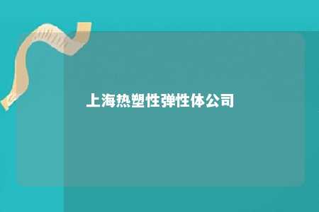 上海热塑性弹性体公司