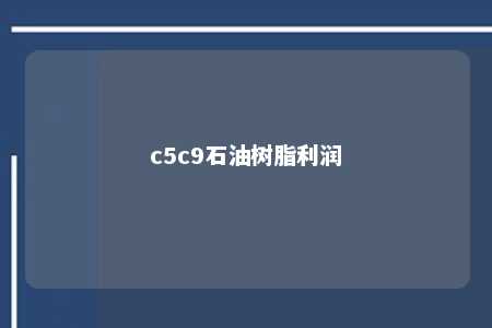 c5c9石油树脂利润