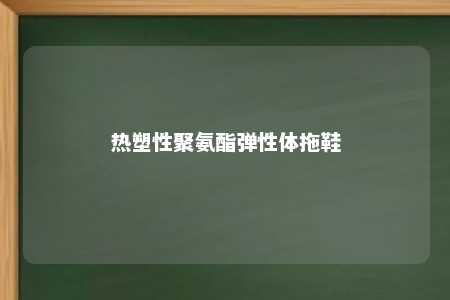 热塑性聚氨酯弹性体拖鞋