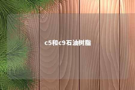 c5和c9石油树脂