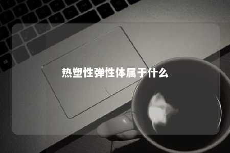 热塑性弹性体属于什么