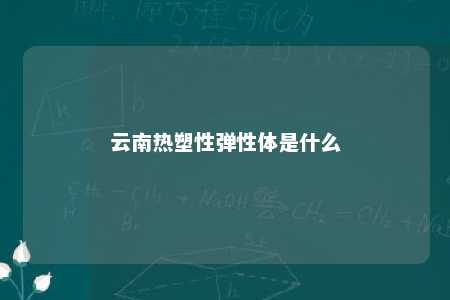 云南热塑性弹性体是什么