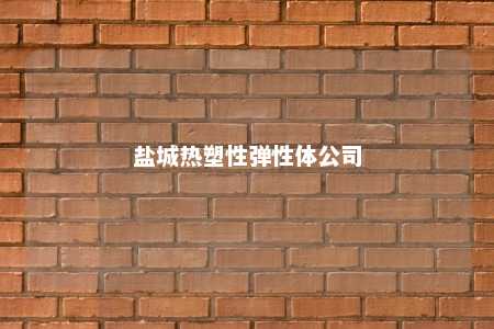 盐城热塑性弹性体公司