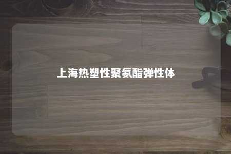 上海热塑性聚氨酯弹性体