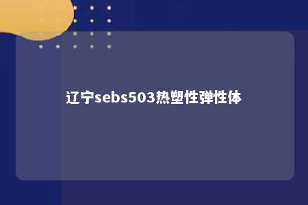 辽宁sebs503热塑性弹性体