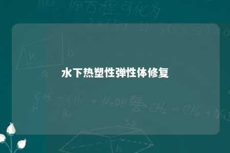 水下热塑性弹性体修复