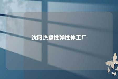 沈阳热塑性弹性体工厂