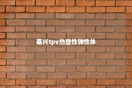 嘉兴tpv热塑性弹性体