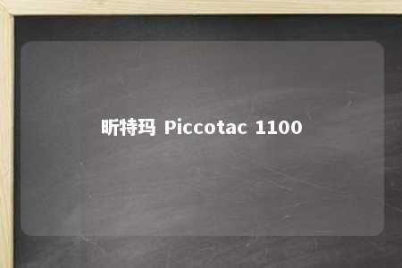 昕特玛 Piccotac 1100