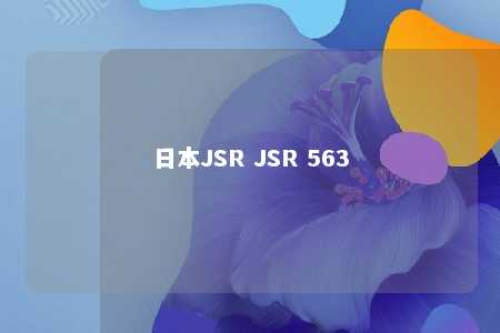 日本JSR JSR 563
