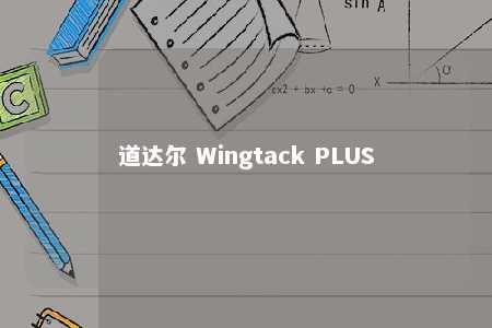 道达尔 Wingtack PLUS