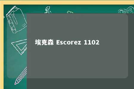 埃克森 Escorez 1102