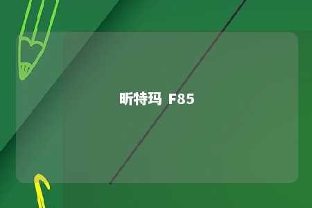 昕特玛 F85