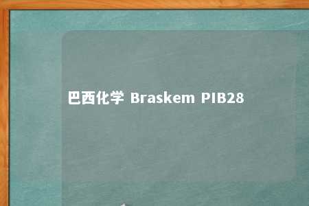 巴西化学 Braskem PIB28